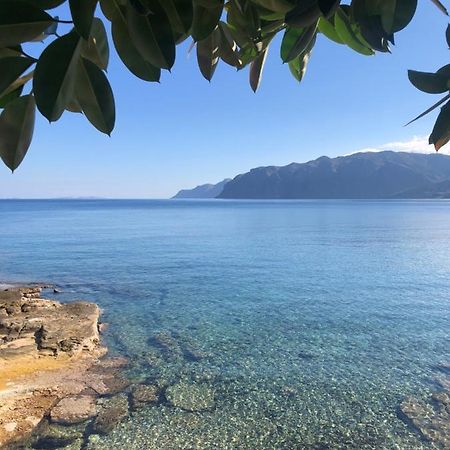 The Island House - Family Size Apt - Overlooking The Aegean - 3 Steps From The Beach موخلوس المظهر الخارجي الصورة